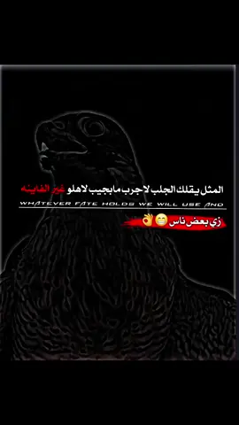 |#عبارات  #🙂👌 #ديراوي_♕🖤  #تـصميم_ديراوي🗞🖤 