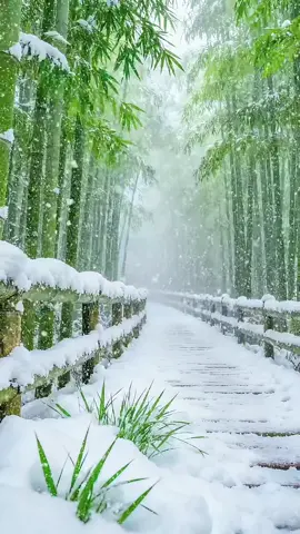 I like to see this snow with people I love.#snow #like #share #fyp #ForYou  @Coco  @Coco  @Coco 