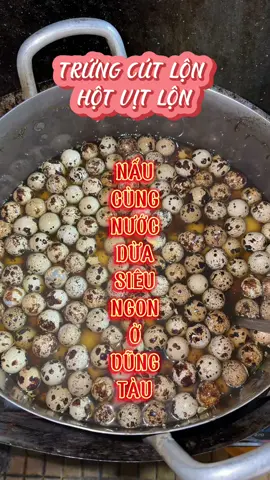 trứng cút lộn hột vịt lộn ở Vũng Tàu nó đỉnh điên #phuongoanhdaily 