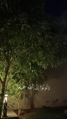 #اكسبلور #راحه #قران  