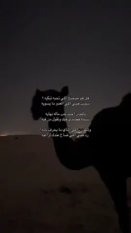 #fypシ゚ #شعر_وقصائد #explore #هواجيس #4u 