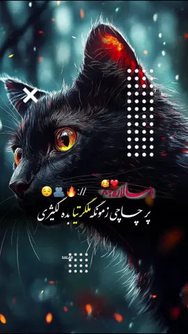 #CapCut Hu sir 🤚🥀 #تمپلیت_جدید اورې 🤩❤️‍🩹#تمپلیت_جدید #رپ_پشتو رپ_فارسی اهنګ_پشتو اهنک_افغانی  اهنک_ایران_غمگین_غاشقان creatorsearchinsights #oo__3salar_afg 