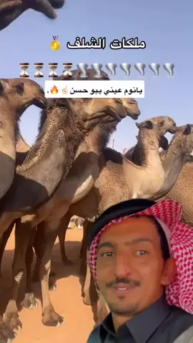 #الصياهد_رماح #شهران_العريضة #محمد حسن الصقور #الصياهد_رماح #ppppppppppppppppppppppp 