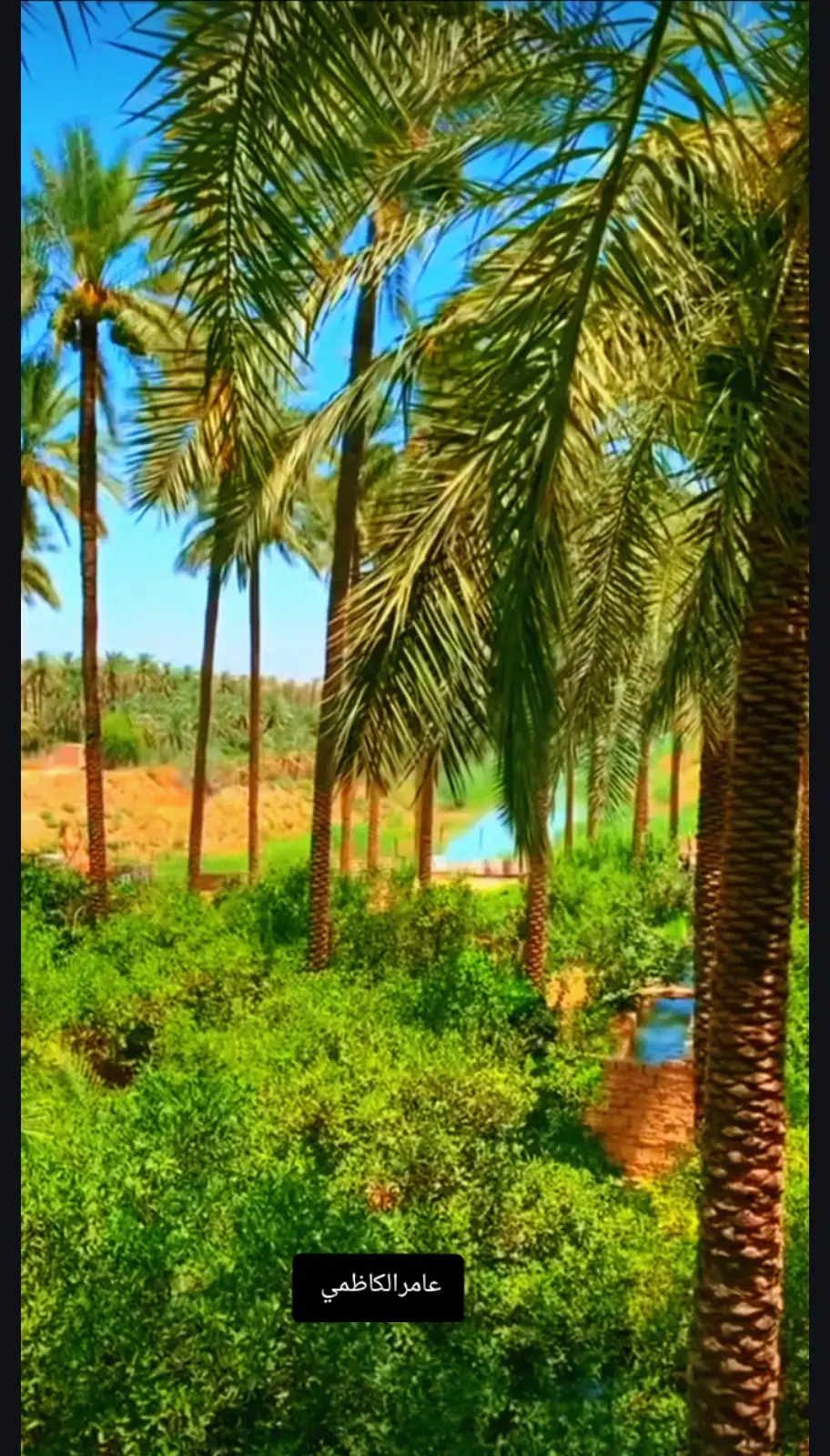 #عامر_الكاظمي #قران #لاتحزن_إن_لله_معنا  #وابشروا_بالجنه_التي_كنتم_توعدون #القران_الكريم 