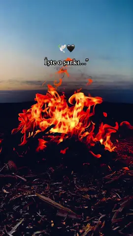 Allah kimseyi Hasret çektirmesin🥹🫂 #keşfet #geceyebirsözbırak💫 #uygurdoganay #ateşbaşındahuzur #adnangezici 