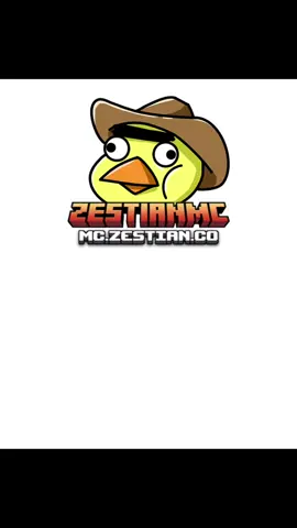 me costo mucho socializar :c @Eliansito🇦🇷🔥  #squidgame #girl #Minecraft #squidcraft 