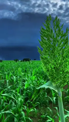 #dhulbarakeysan❤🥰🥰🥰 #somalitiktok @shakuur_04 @☘️yoonka saki48🇸🇴🦁 