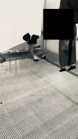 @𝕽  أميرتيُ❣️🌟