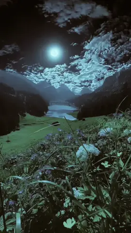 لم يكسرني سوى صمتي، الذي يزداد ثقلاً كل يوم..... . . .. . . #هشتاق #ليك #متابع #fyp #عبارت 