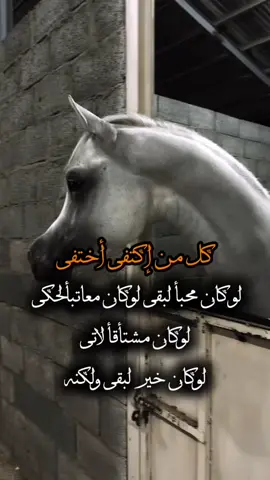 #ستوريات #تيك_توك #أكسبلورر #فولو #fyp 