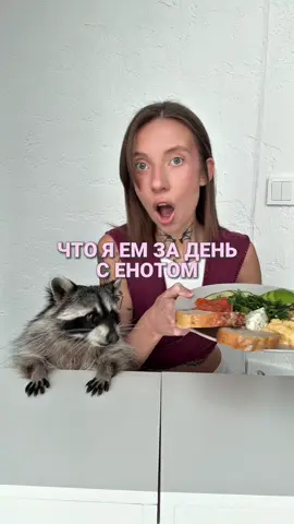 Тг: Аня и Булочка 