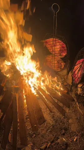 #تخييم 🏕️#صلاح_الدين #الزوية 