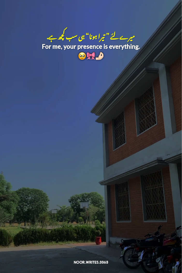 Mention Them 🌸🤌🏻 || Relationship love Status 💗 || Love Status ♥️ || Love lines 🌼 || Status video ✨ #fyp #Relationship #Love #lines #statusvideo 