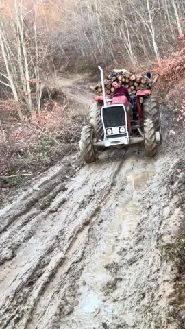 #tiktok #viral #shqiptar🇦🇱 #kosova🇽🇰 #videoviral 