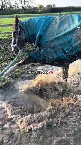 sad times #equestrian #vape #funny #horse 