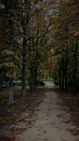 احب اقول لاختي قبل السنه الجديده❤ #سنه_جديده#اختي#شعر  #استوريات#مؤمن_عيد 