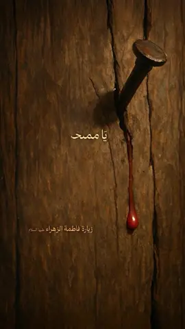 عظّم الله أجوركم باستشهاد السيّدة فاطمة الزهراء عليها السلام. 🕊#فاطمة_الزهراء #