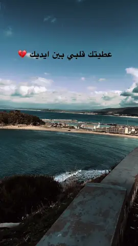 #تونس🇹🇳 #مالي_خلق_احط_هاشتاقات #مشاهير_تيك_توك_مشاهير_العرب #جزائري🇩🇿 #محمود_الجبلي 