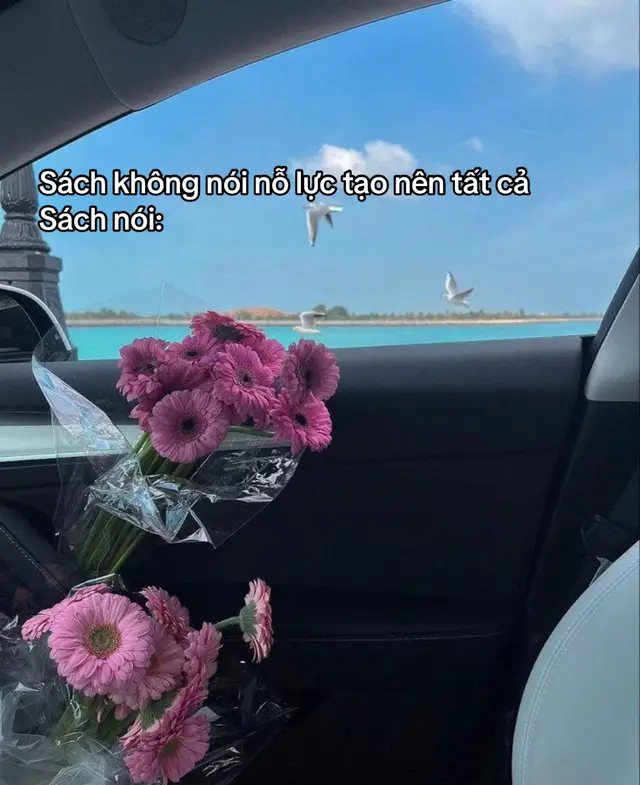 #adiaryofsilenteffort #toithichdangvenolucchinhminhsongnguanhviet #timebooks 