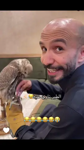 #مالي_خلق_احط_هاشتاقات #الشعب_الصيني_ماله_حل😂😂 #ابوحصه_ابوعجيب #ابوحصه #ابوعجيب @ابو حصه 🐰 @ابو عجيب 