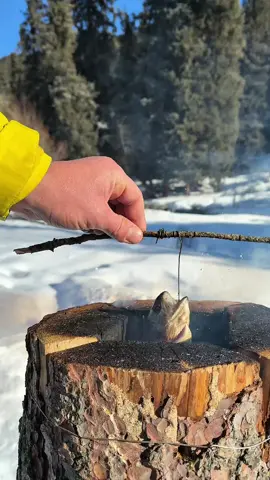 #cooking #outdoorcooking #food #food #tiktok 