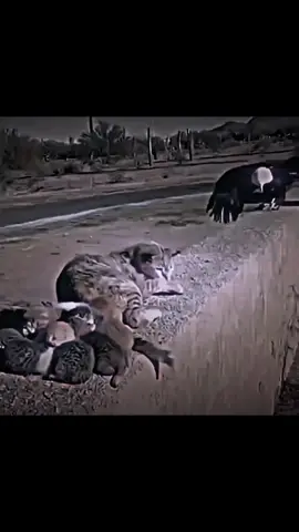 #ColdMoments #WinterVibes #FrozenFeelings #ChillyNights #ColdDaysWarmHearts 