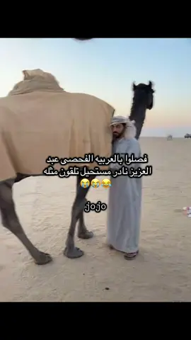 ملح السفره من غير قصور بالباقين 😂😂😂#مشاهدات_تيك_توك #مشاهدات #foryou #اكسبلورforyou #فراج_قزيع_السهلي @فراج قزيع السهلي @أبو نـمـر 🐆 @سيف قزيع السهلي 