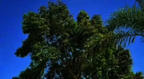 محبتش غيرك واعمل ايه  #استوريات #استوريهات #عمرو ـ دياب #اغاني ـ حب #اكسبلور 