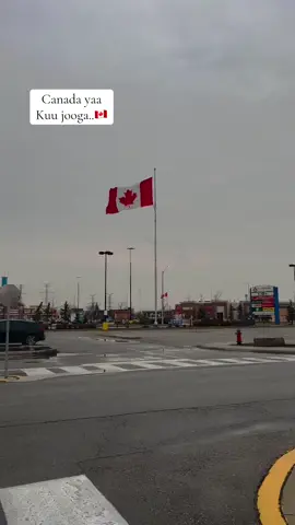 #canada #somalitiktok #viral #foryou #toronto 