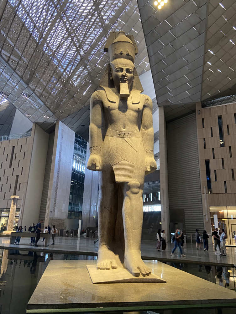 طبلي ي باشا طبلي 😂😂🤪#turkey #egypt #الشعب_الصيني_ماله_حل😂😂 #fyp #turkish 