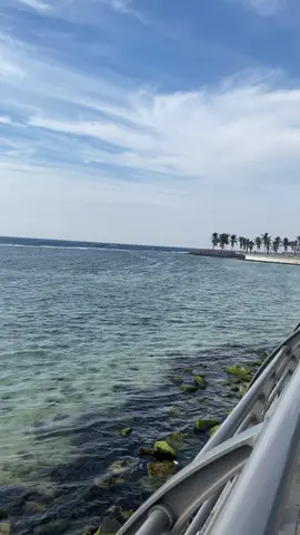 #اكسبلورexplore_o🌸 # مساء-الخير#🌷#_تصويري📸 #fyp #♥️🎼🕊️🍃 