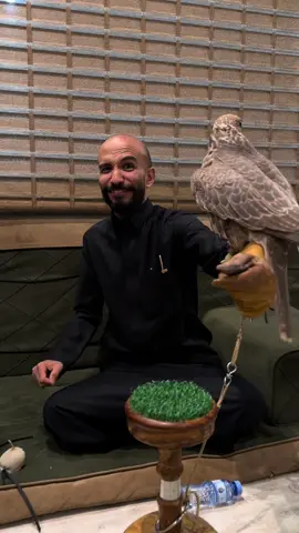 الصقار ابو بدر 😭🦅