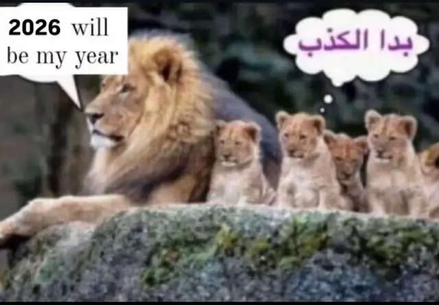 #explore #fyp #foryou 