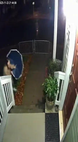 ⚠️ Umbrella Defense Woman Uses It as Shield Against Vicious Dog — Barely Makes It Inside! 🚪 #DogAttack #UmbrellaGuard #CCTVFootage #FrontStoopEscape #TimestampAlert 