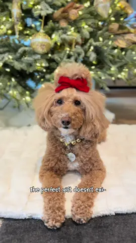 The best present under the tree 🥹🎄