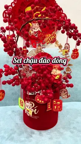 Set Chậu đào đông + đèn led + phụ kiện đầy đủ mẫu hot 2026 đây các bác ạ #chaudaodong #chaudaodongtrangtri #settrangtritet #decortet2026 #xuhuong 