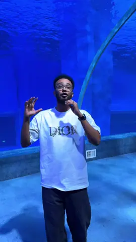 World largest aquarium centre #jumma #guangzhou #china 