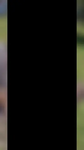 กางเต็นท์ เขายายเที่ยง #เขายายเที่ยง 