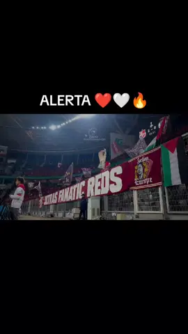 بلوزداد الشهداء ❤️🤍✊#شعب_الصيني_ماله_حل😂😂 