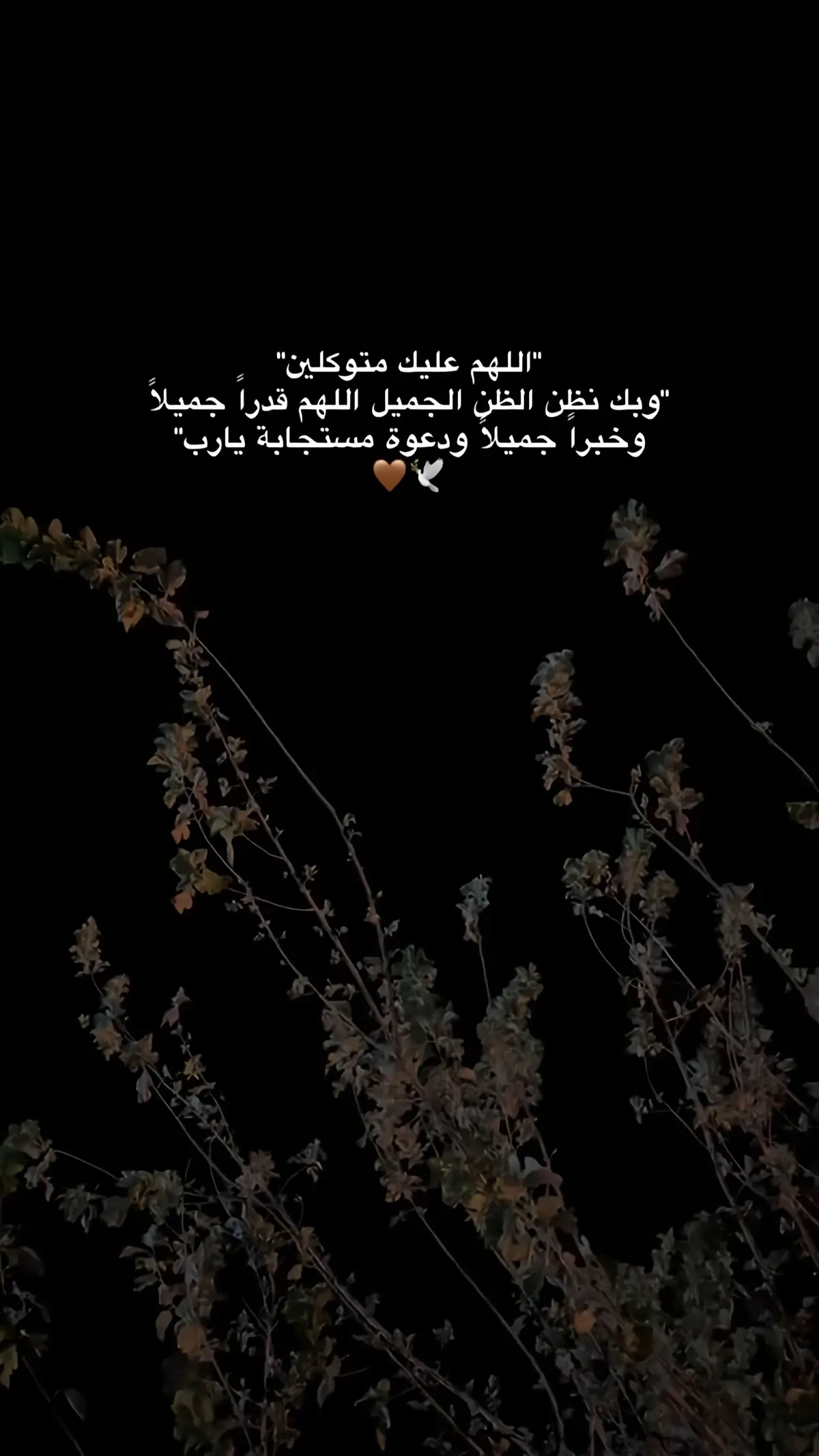 #اللهم_امين #یارب_العالمیــــــــــن🤲🏻🥺 