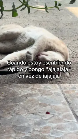 #fyp #fyp #vicente #fyp 