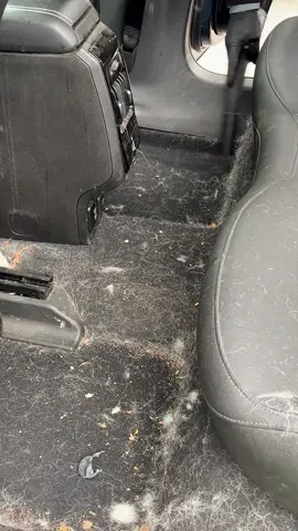 #carwashing #carcleaning #cardetailing #detailing #washing 