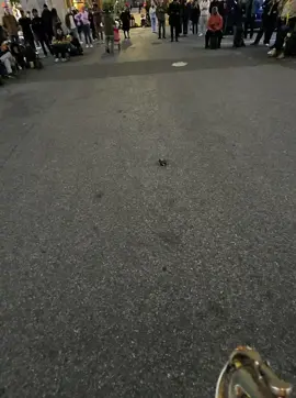 Has anyone else tried playing here under the 7 train? I would totally recommend trying it out, it feels amazing. I think about it all the time. I’m hoping to have a session here with a proper recording setup. The videos I took of that performance have given me so many opportunities, I’m very grateful. #sax #saxophone 