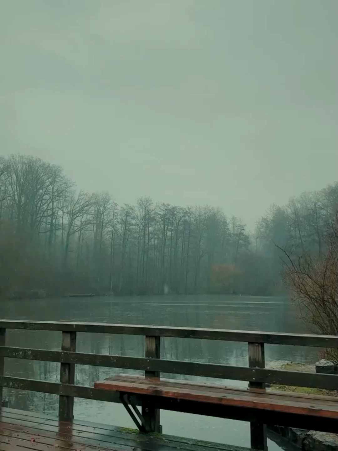 Bir insanı zorla nezaketli yapamazsın. #alıntısözler #duygusal #alıntı #hüzün #tiktok #2025 #keşfett #kesfet #tiktokvideo #tiktokviral #viral #keşfetteyizzz #kitap #kesvet #söz #doğrusöz #quotes #keşfet #anlamlı #anlamlısözler