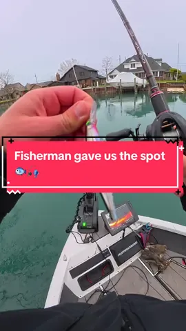We Fished for PIKE 🐟🎣 #fishing #fishingvideos 
