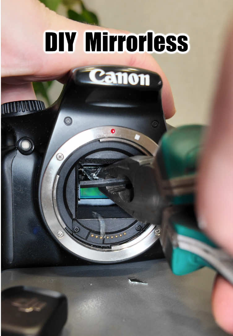 When a mirrorless camera is just too expensive: DIY mirrorless camera.  #dslr #mirrorless #cameratips #cameratipsandtricks #camerahacks 
