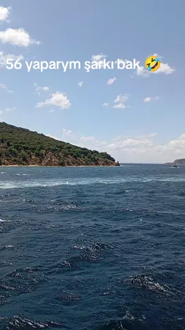 🤣🤣🤣🤣🤣🤣🤣🤣🤣🤣🤣🤣🤣🤣🤣🤣🤣🤣🤣🤣🤣