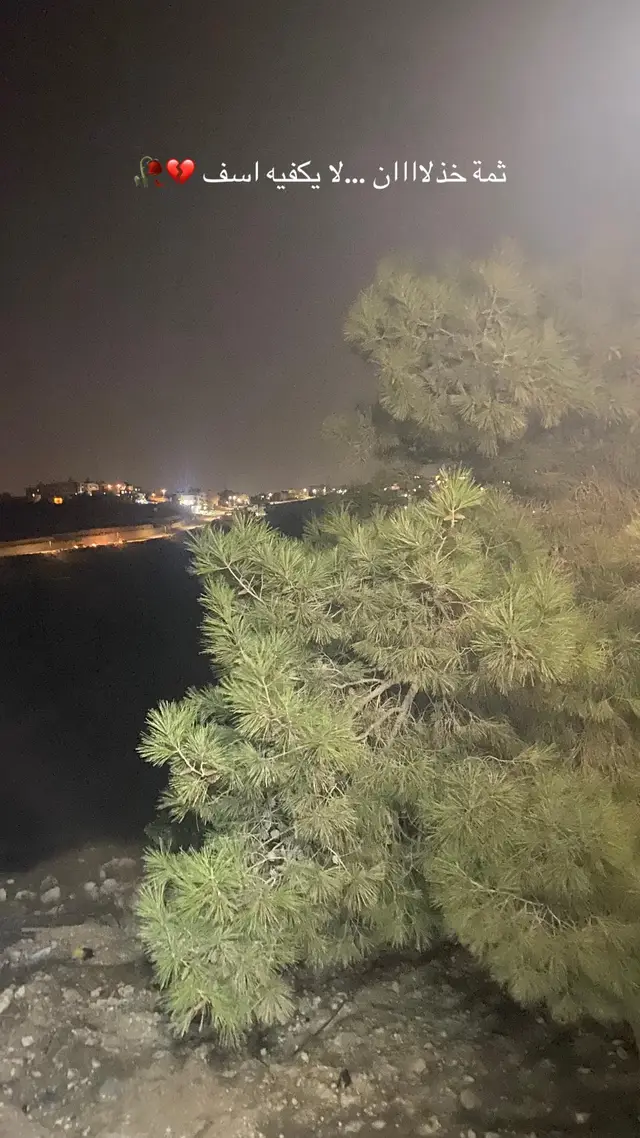 لا كلمه تتفوق على كلمة عادي في دس كمية من خيبة والاسى بين حروفها حين يقولها المخذول وهو يهز كتفيه 💔#نوفمبر #مشاعرمبعثره #الليل #سكون_الليل #سنه_جديده 