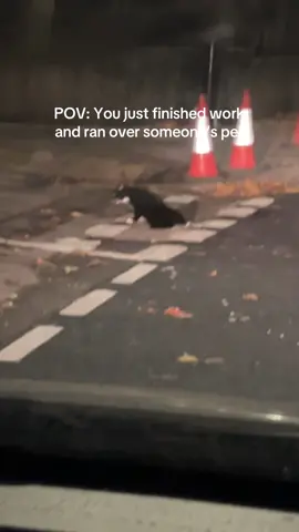 Whole backseat needs a wash sigh and I had to dash that coat away😞 #fyp #london #foryoupage #somalitiktok #Lifestyle 