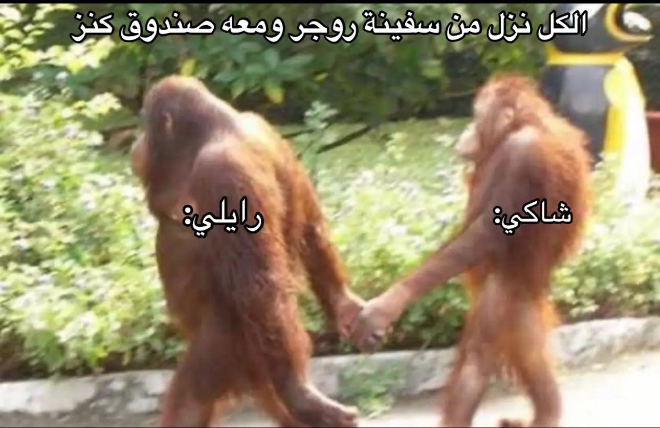 #ون_بيس #OnePiece 